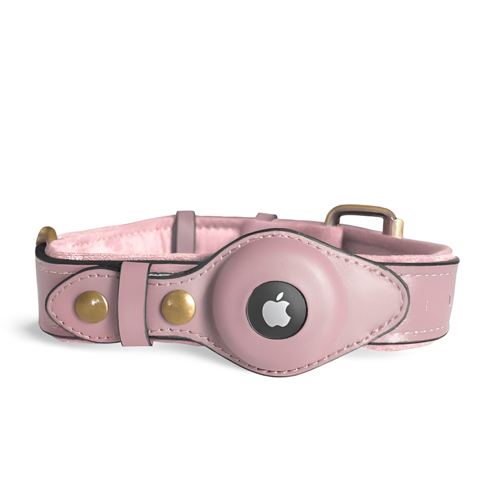 QuickFit Airtag Dog Collar