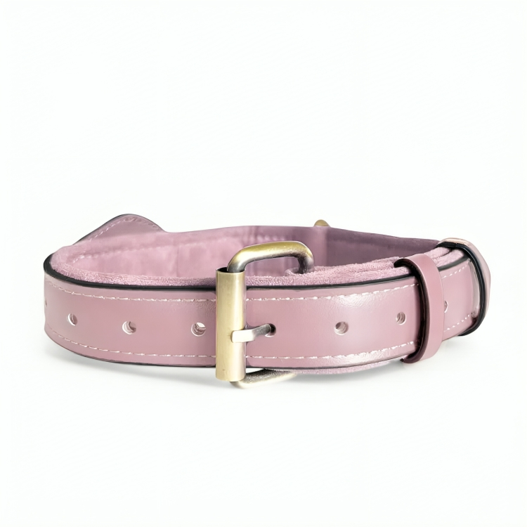 QuickFit Airtag Dog Collar