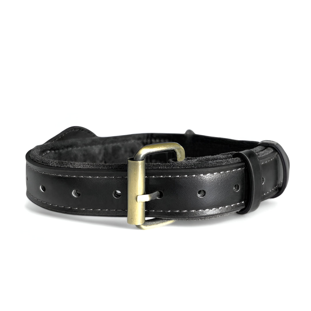 QuickFit Airtag Dog Collar