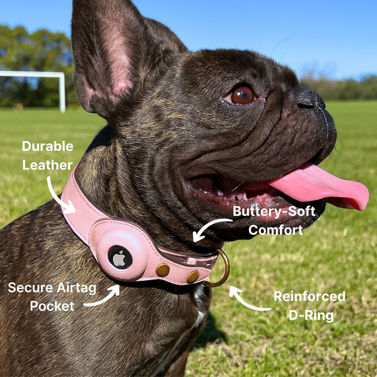 QuickFit Airtag Dog Collar