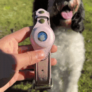 QuickFit Airtag Dog Collar