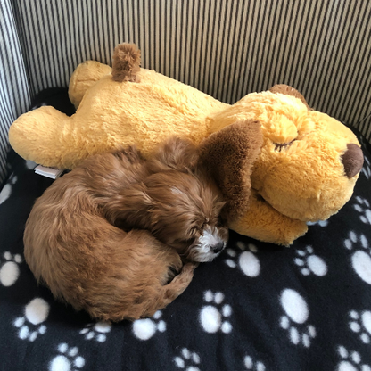 Heartbeat Snuggle Buddy