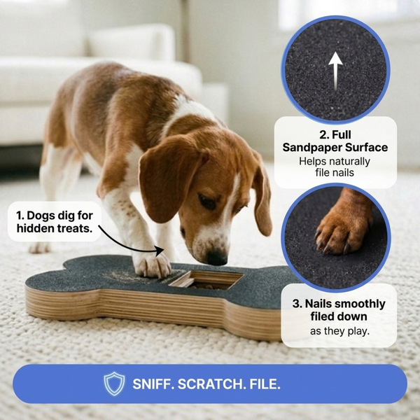 FilePaw Dog Nail File Board
