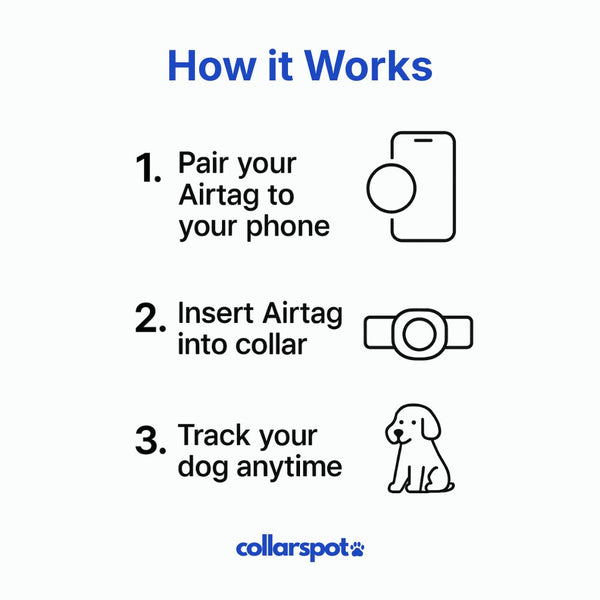 QuickFit Airtag Dog Collar