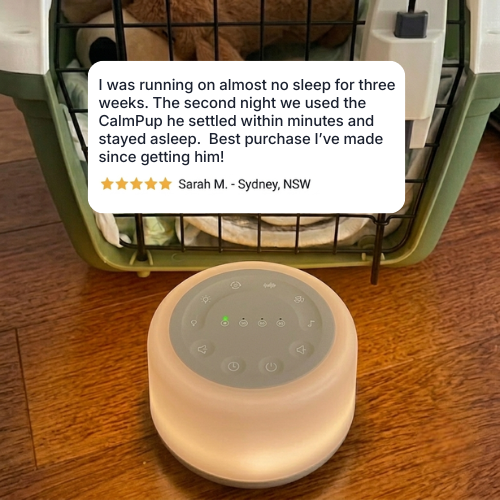 CalmPup White Noise Machine