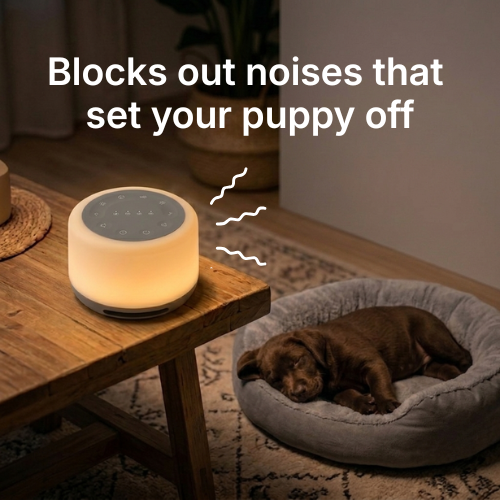 CalmPup White Noise Machine