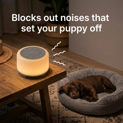 CalmPup White Noise Machine