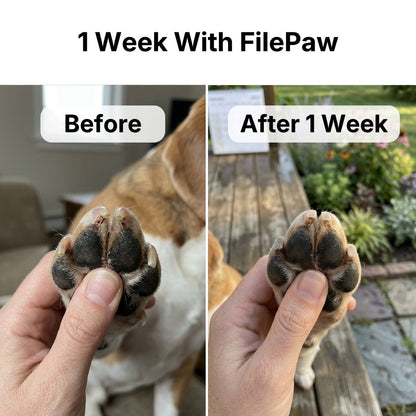 FilePaw Dog Nail File Board
