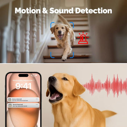 PawSafe Indoor Dog Camera