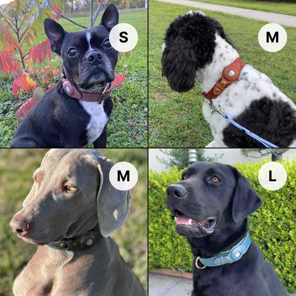 QuickFit Airtag Dog Collar
