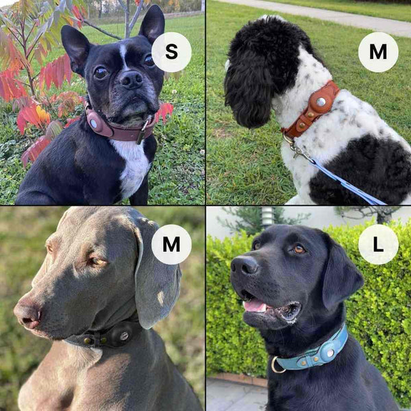 QuickFit Airtag Dog Collar