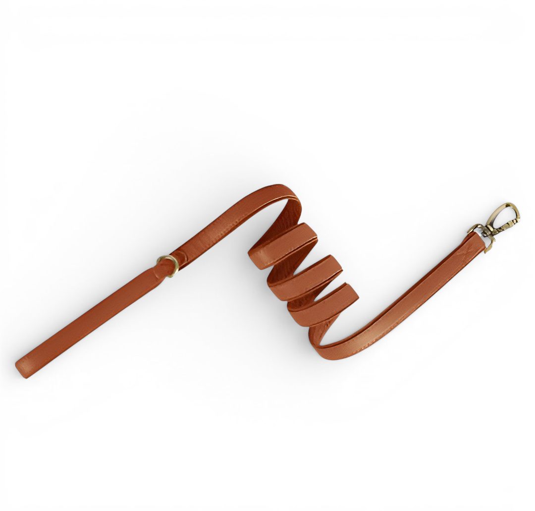 QuickFit Leather Leash