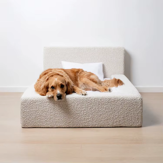 Nimbus Dog Bed