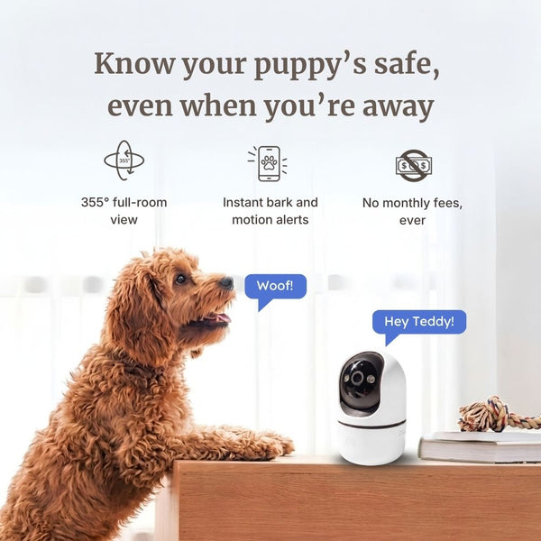 PawSafe Indoor Dog Camera