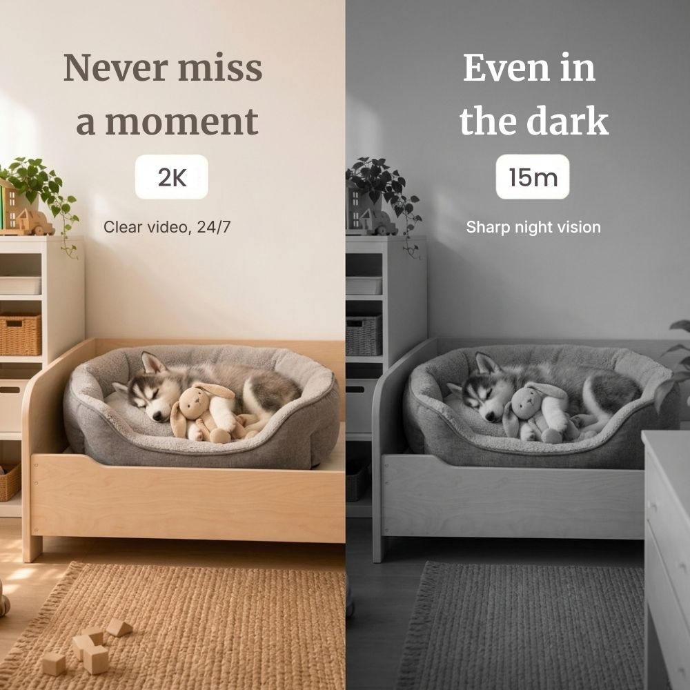 PawSafe Indoor Dog Camera