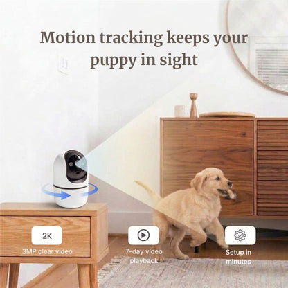 PawSafe Indoor Dog Camera