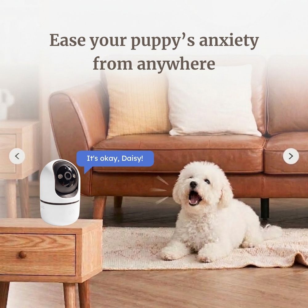 PawSafe Indoor Dog Camera