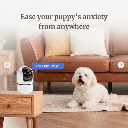 PawSafe Indoor Dog Camera