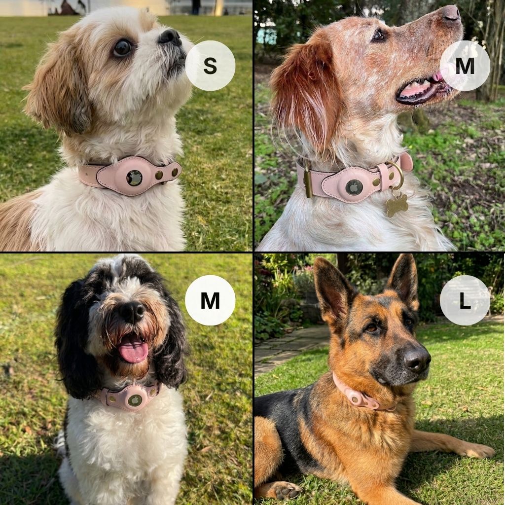 QuickFit Airtag Dog Collar