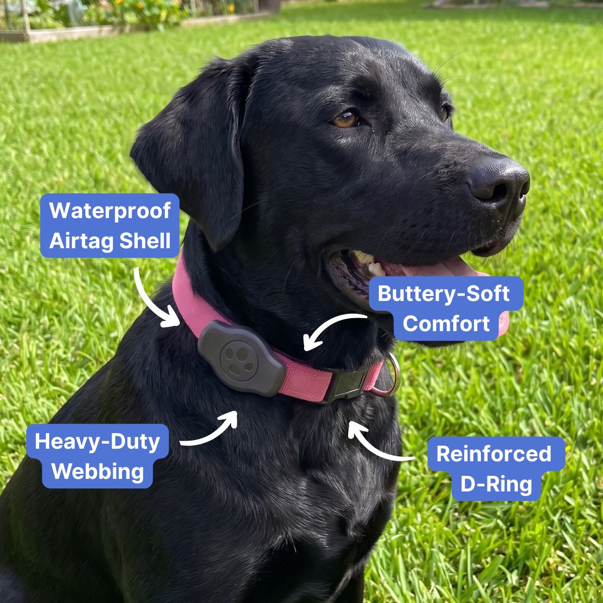 Voyager Airtag Dog Collar