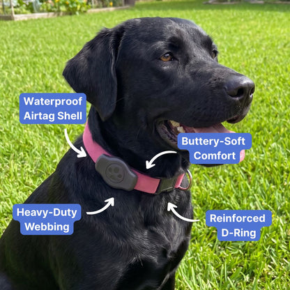 Voyager Airtag Dog Collar