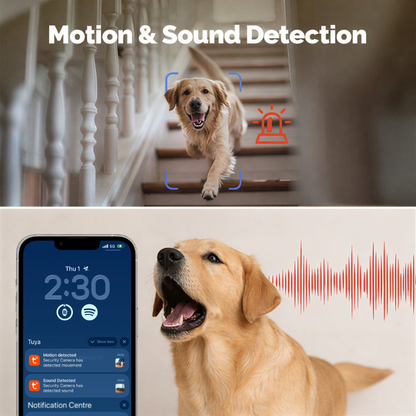 PawSafe Indoor Dog Camera