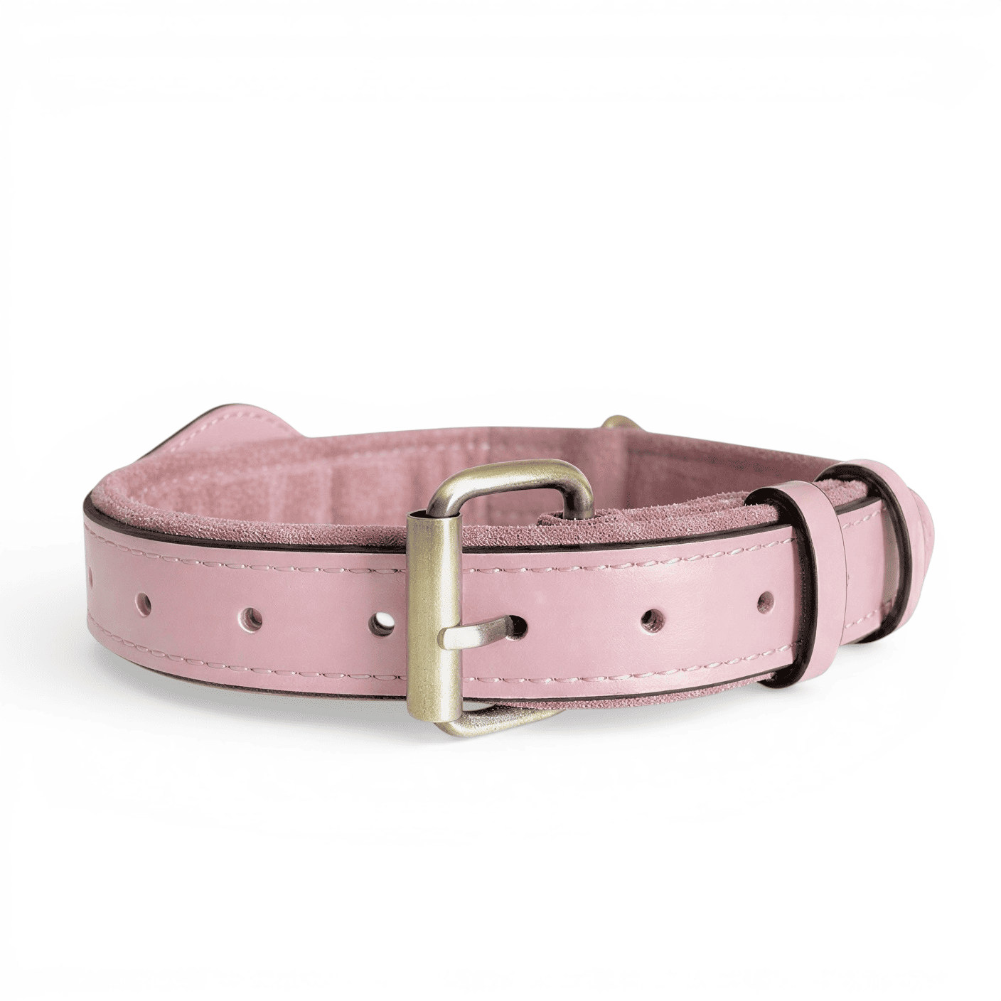 QuickFit Airtag Dog Collar